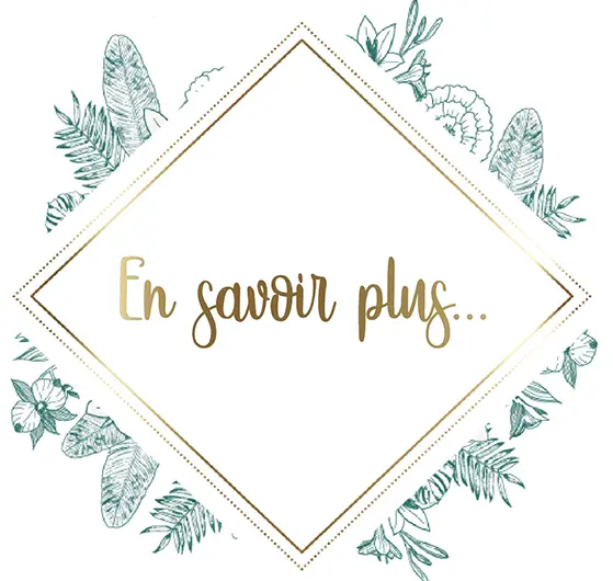 En savoir plus sur les 3 L