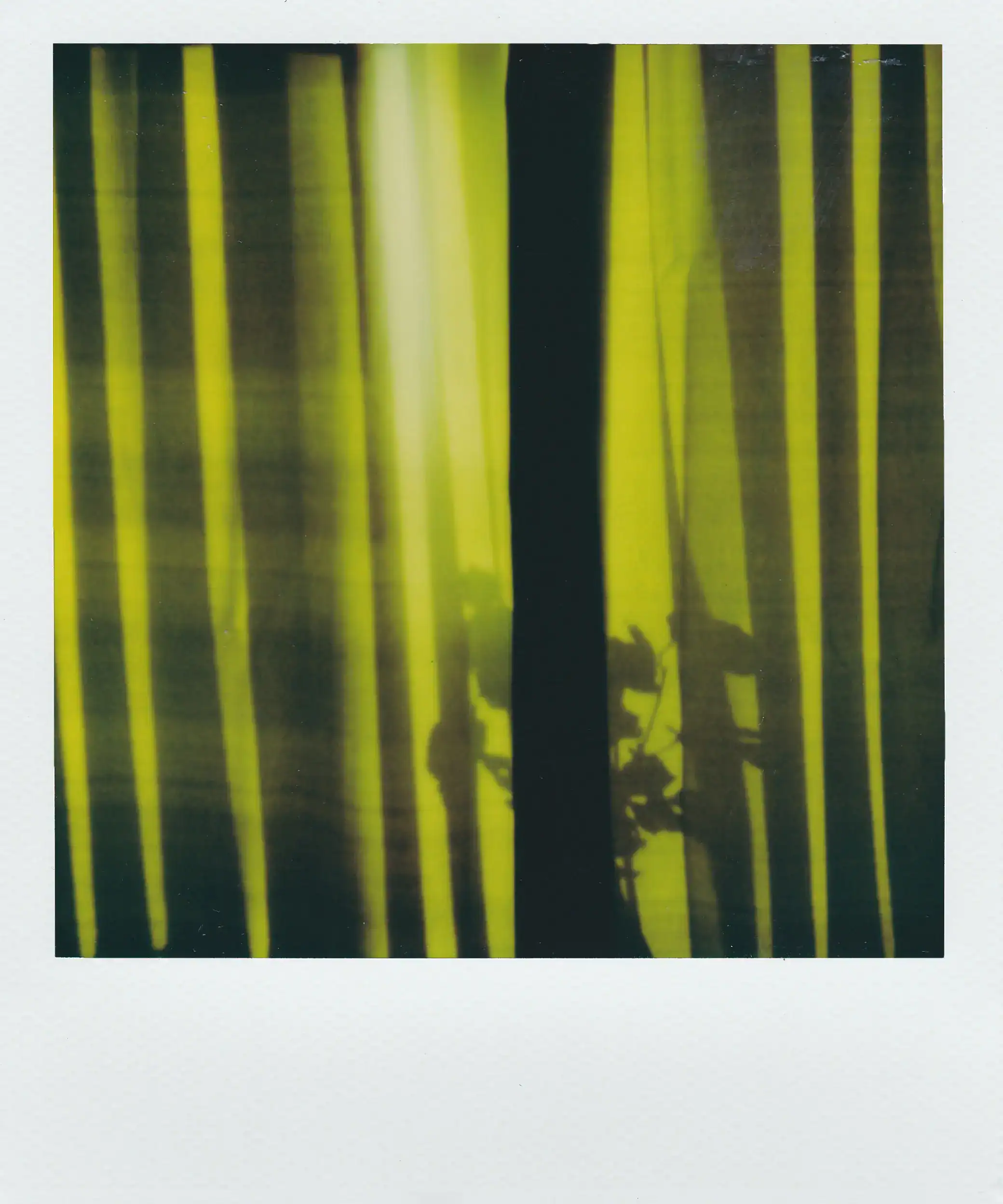Photographie au format Polaroid utilisée dans le footer de la présentation du site Oléo-Sine pour illustrer l’univers visuel et artistique du projet