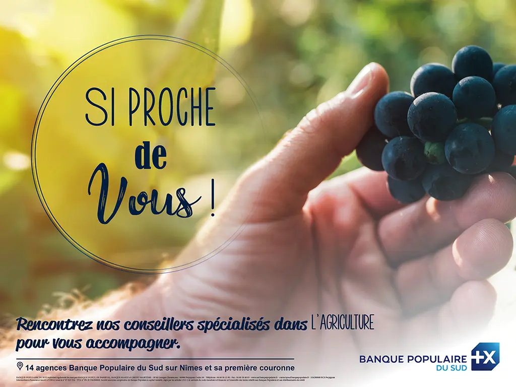 Visuel campagne Banque Populaire du Sud illustrant la viticulture avec une grappe de raisin pour représenter l’agriculture