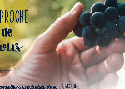 Banque Populaire du Sud