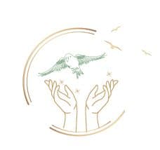 Illustration symbolisant le respect du vivant pour les cosmétiques vegan Oléo-Sine
