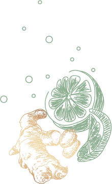 Citron et gingembre illustrés pour représenter les ingrédients naturels du projet Oléo-Sine