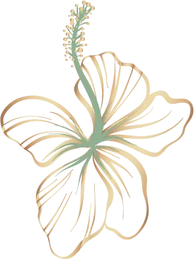Illustration de fleur d’hibiscus utilisée dans le design du site web Oléo-Sine