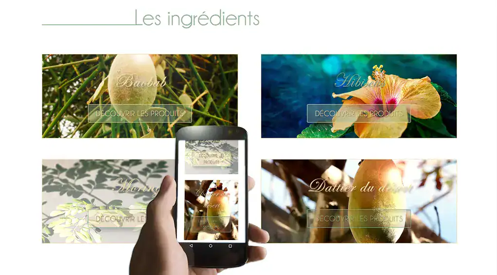 Affichage mobile du site Oléo-Sine présentant les ingrédients naturels sur smartphone