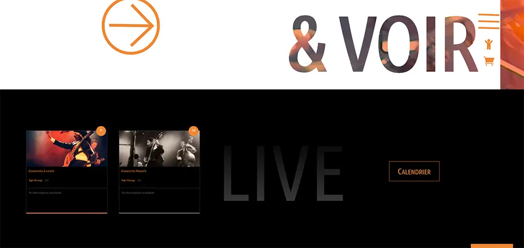 Interface du site STON affichant la programmation des concerts et l’agenda des événements live