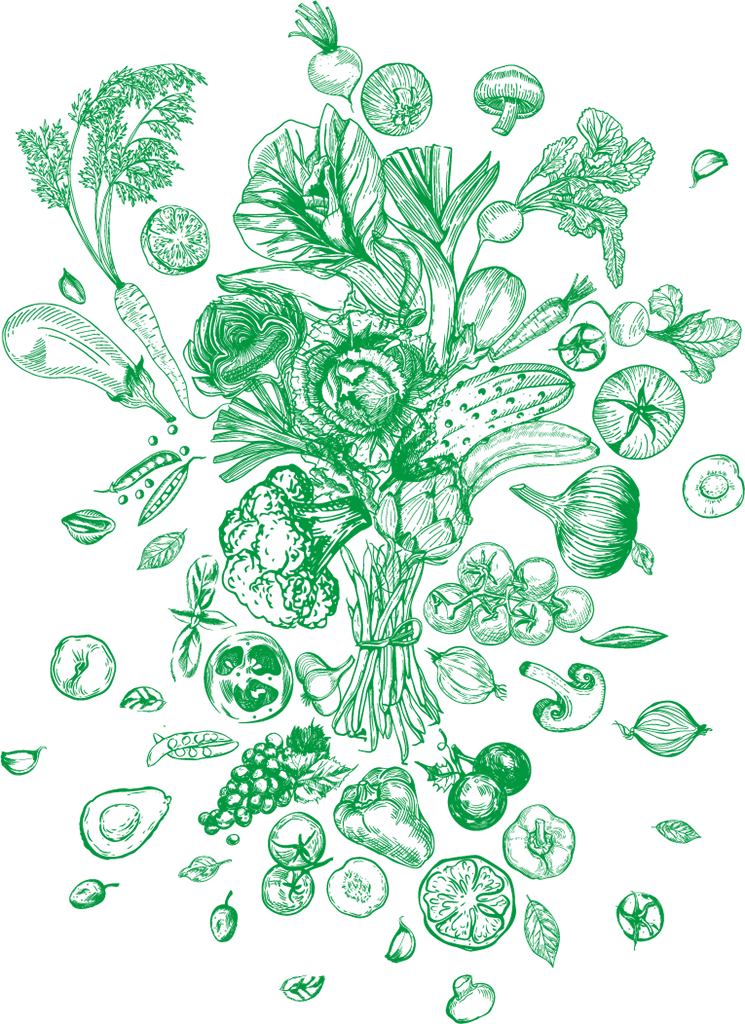 Illustration culinaire utilisée dans l’univers Art du Goût de Couleurs DELPH autour de l’alimentation consciente et de la cuisine raisonnée